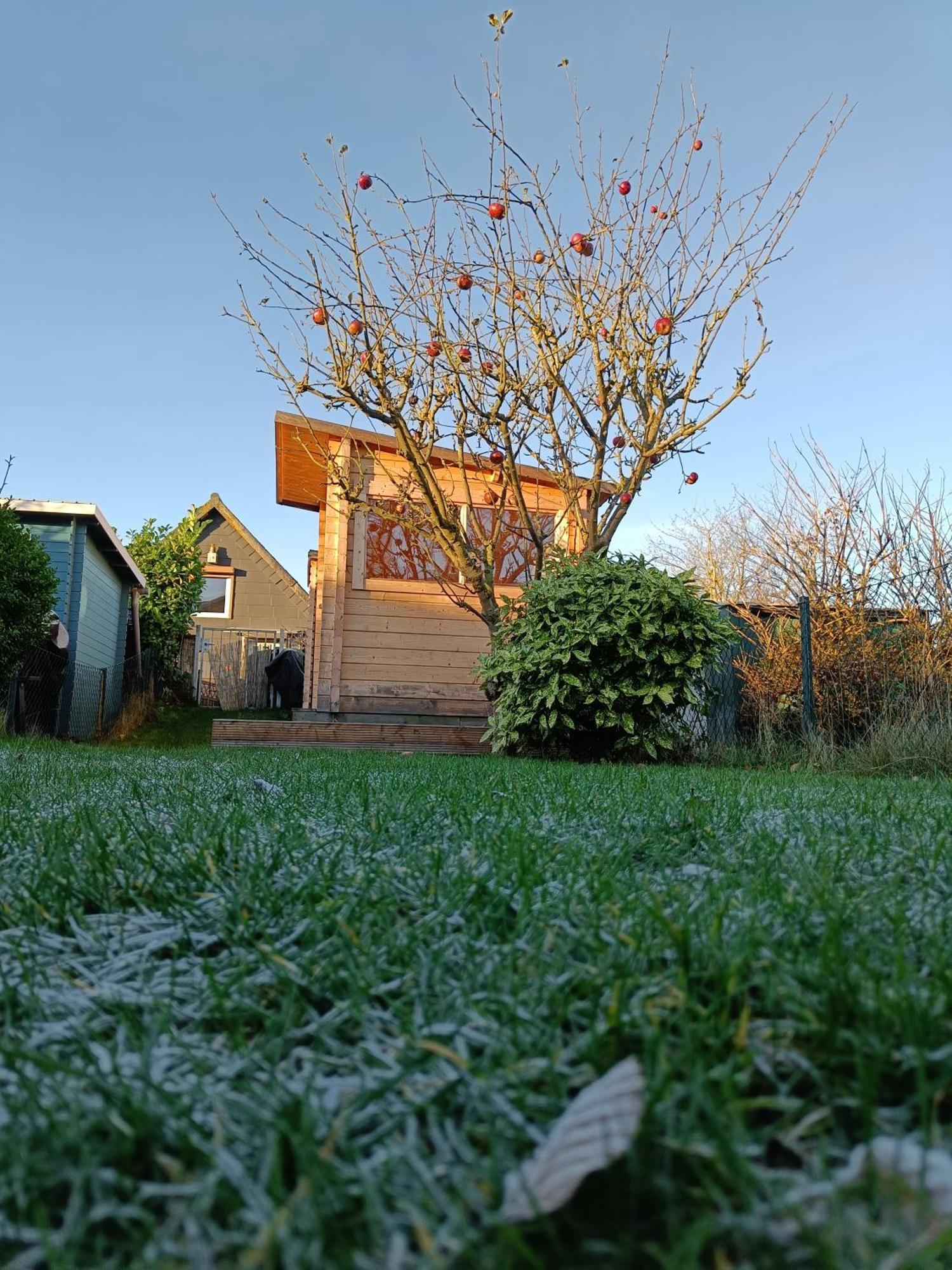 Beachhouse mit Garten: 700m zum Strand! Schonberger Strand Exterior foto